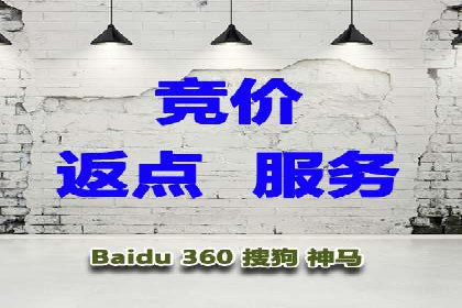 专业SEM代运营推广公司成功案例分享